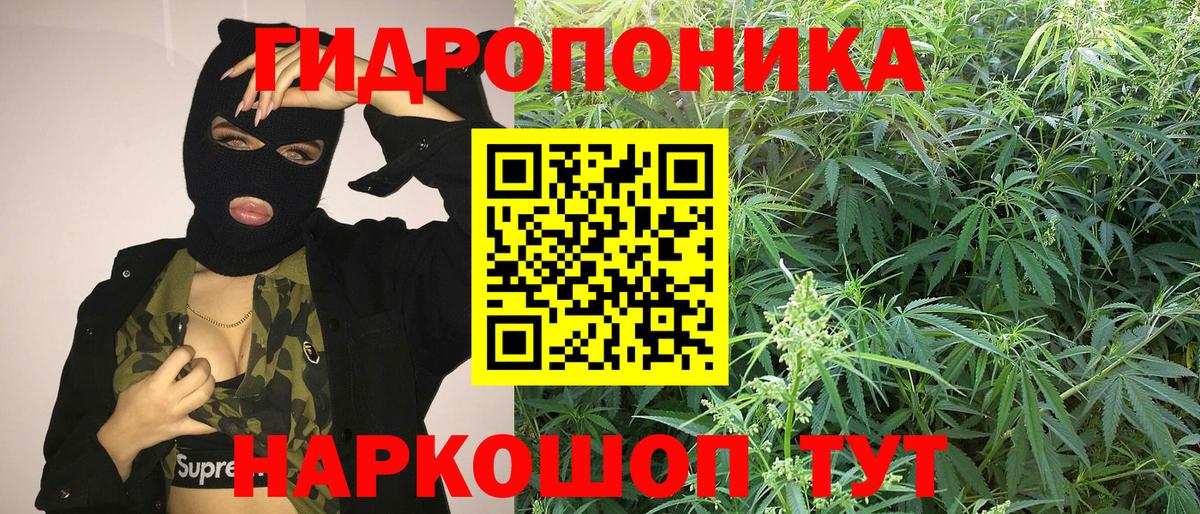 Шишки марихуана MAZAR Озёры